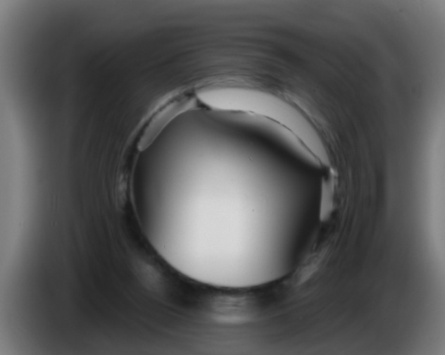 X0000086300160200704201949