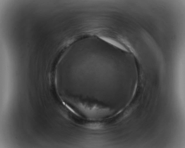 X0000086300161200704201949