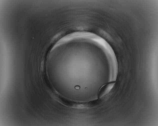 X0000086300163200704201949