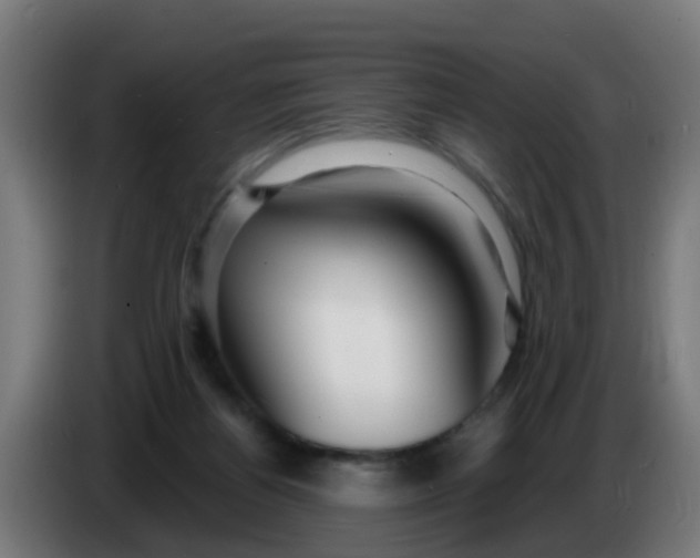 X0000086300164200704201949