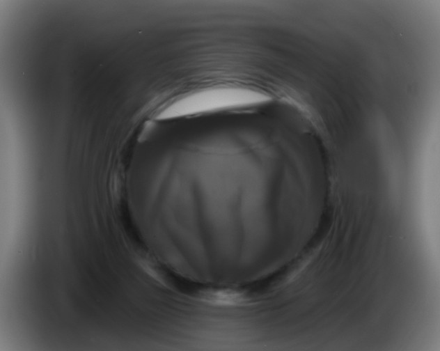 X0000086300165200704201949