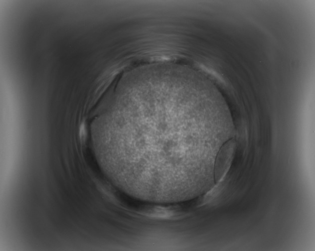 X0000086300166200704201949