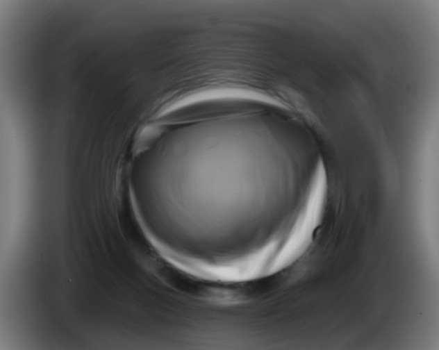 X0000086300167200704201949