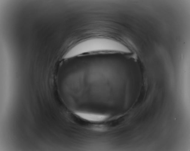 X0000086300169200704201949