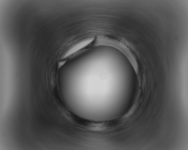 X0000086300170200704201949