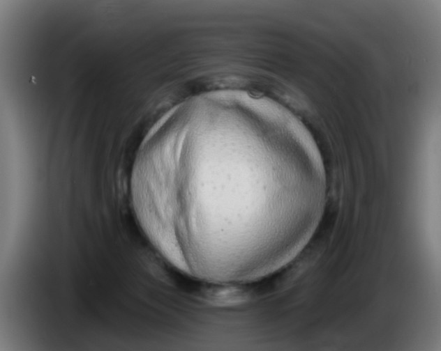 X0000086300173200704201949