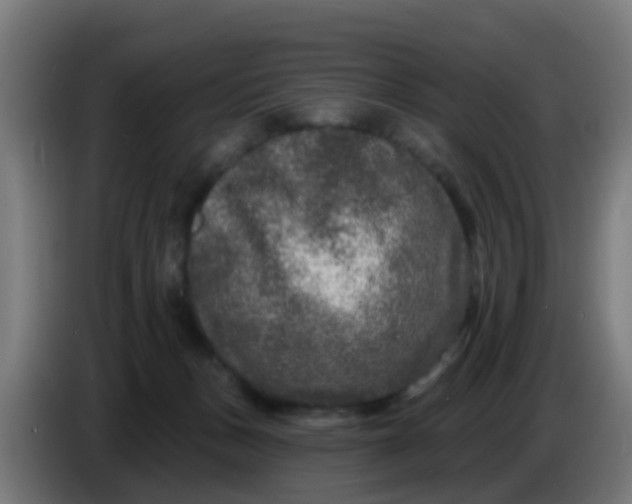 X0000086300175200704201949