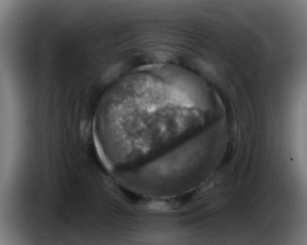 X0000086300177200704201949