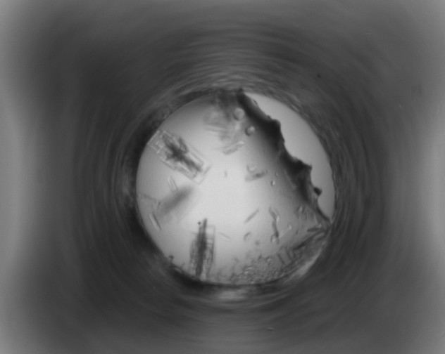 X0000086300178200704201949