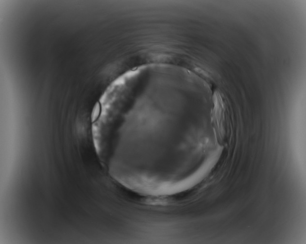 X0000086300181200704201949