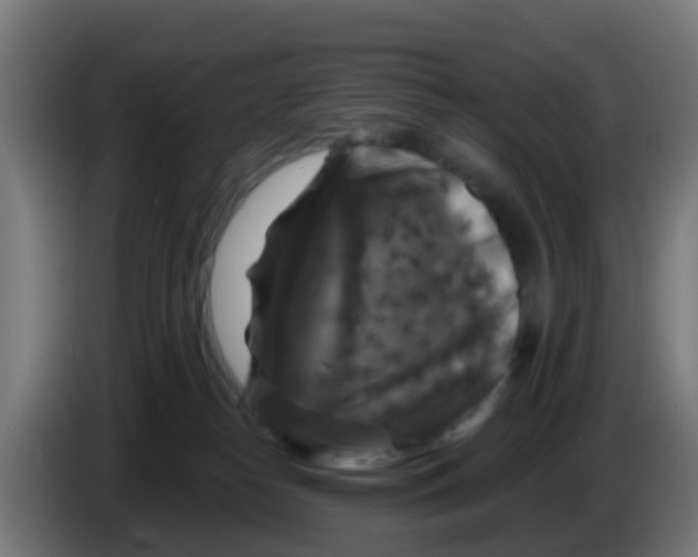 X0000086300182200704201949