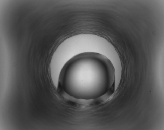 X0000086300188200704201949