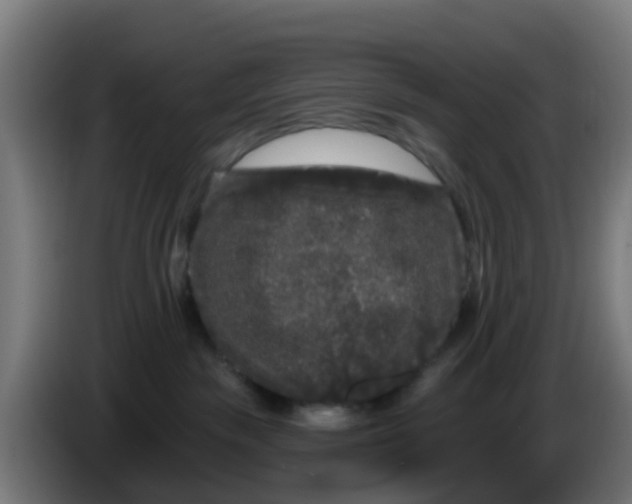 X0000086300189200704201949