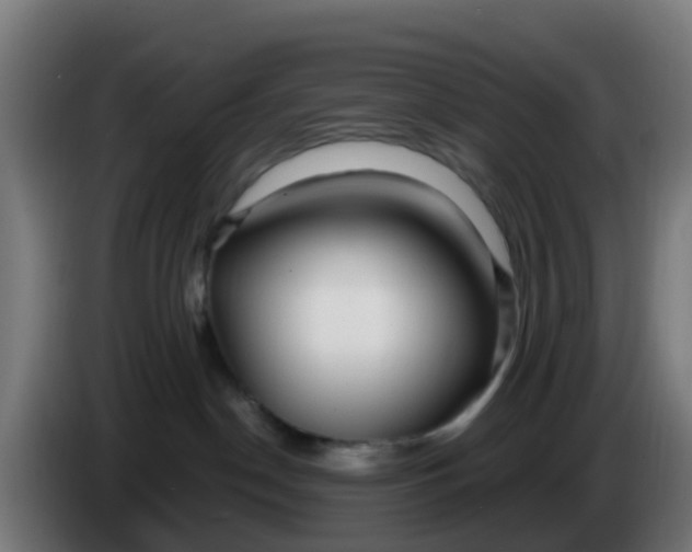 X0000086300190200704201949