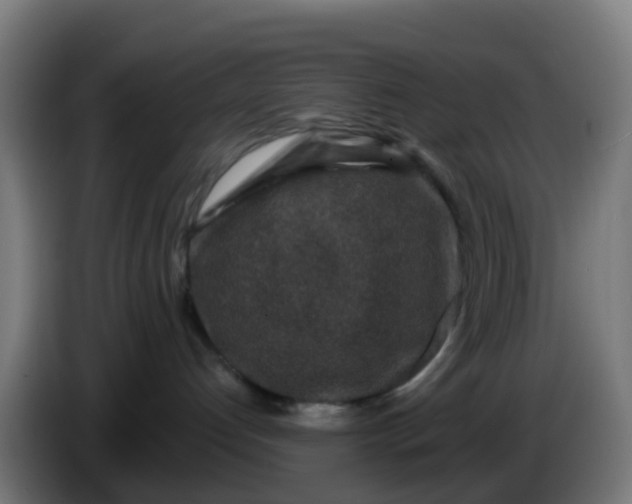 X0000086300192200704201950