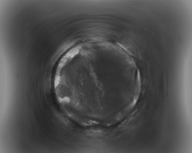 X0000086300194200704201949