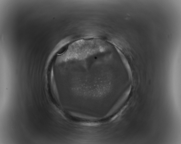 X0000086300198200704201949