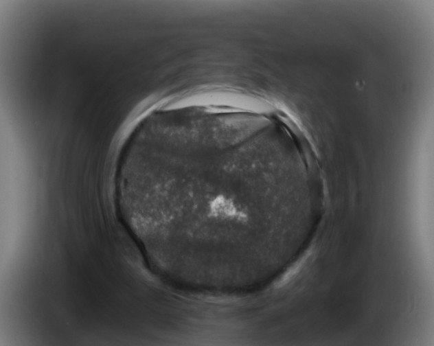 X0000086300199200704201949