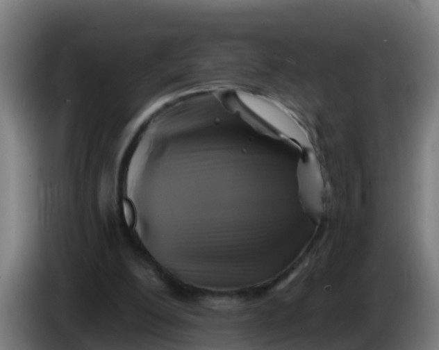 X0000086300200200704201949