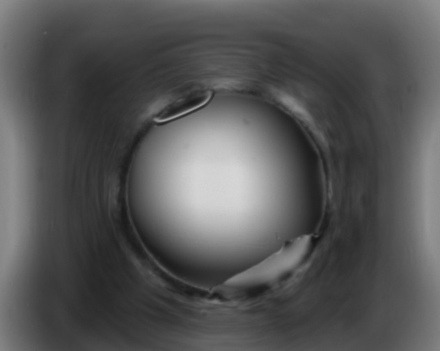 X0000086300201200704201949