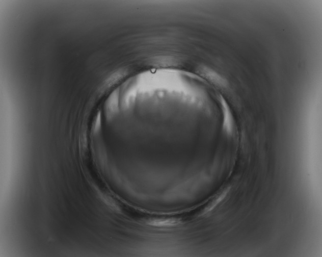 X0000086300202200704201949