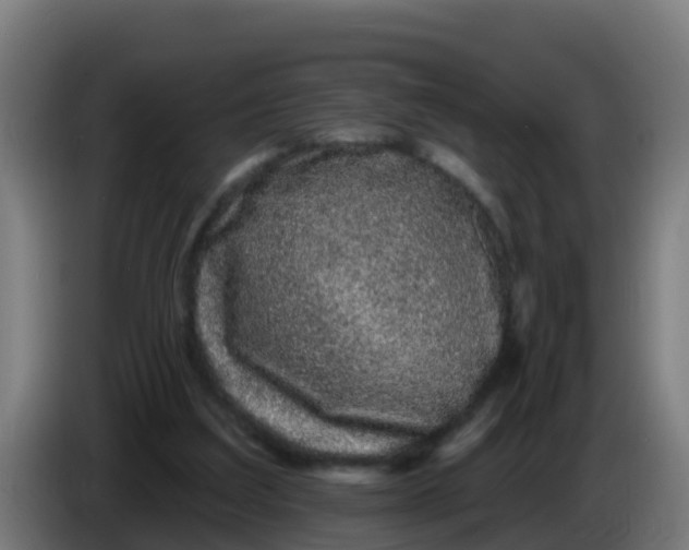 X0000086300203200704201949