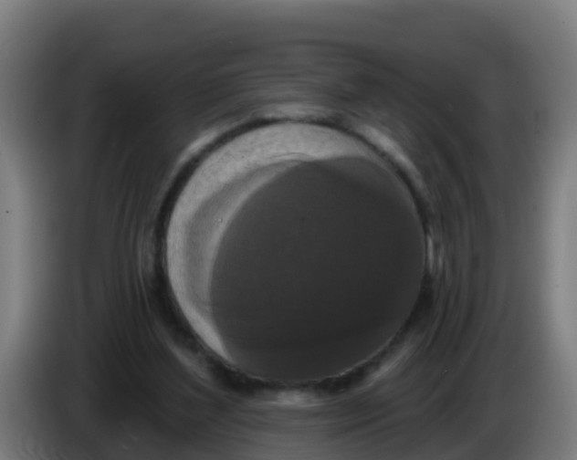 X0000086300204200704201949