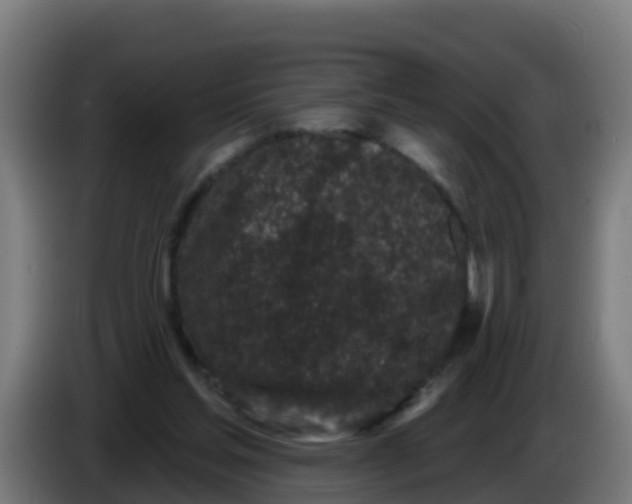 X0000086300205200704201949