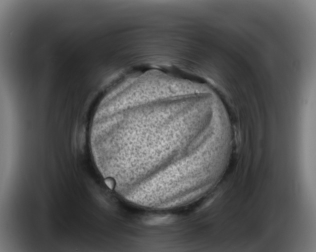 X0000086300206200704201949