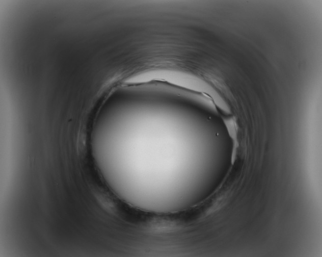 X0000086300207200704201949