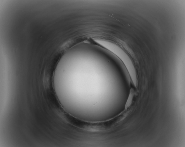 X0000086300209200704201949