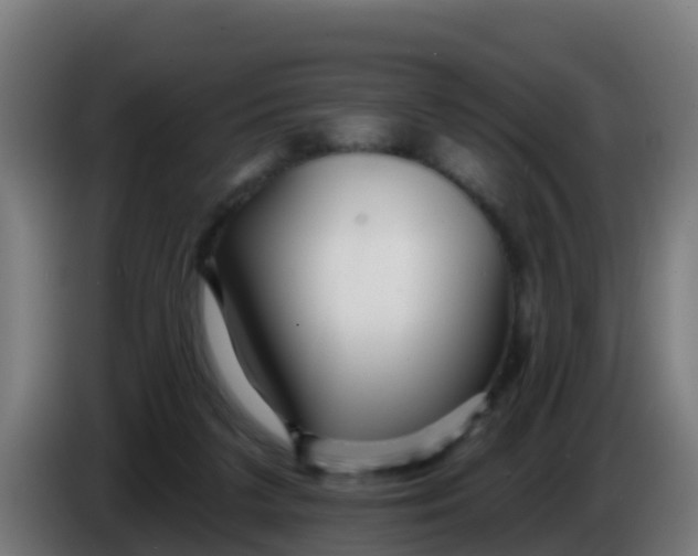 X0000086300211200704201949