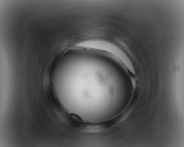 X0000086300213200704201949