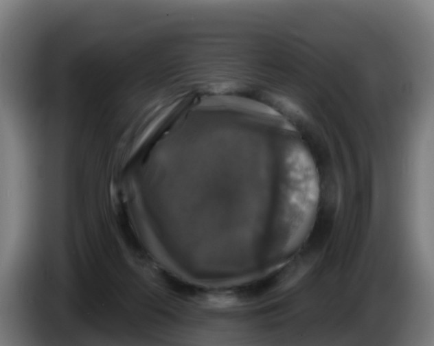 X0000086300214200704201949