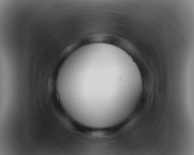 X0000086300216200704201949