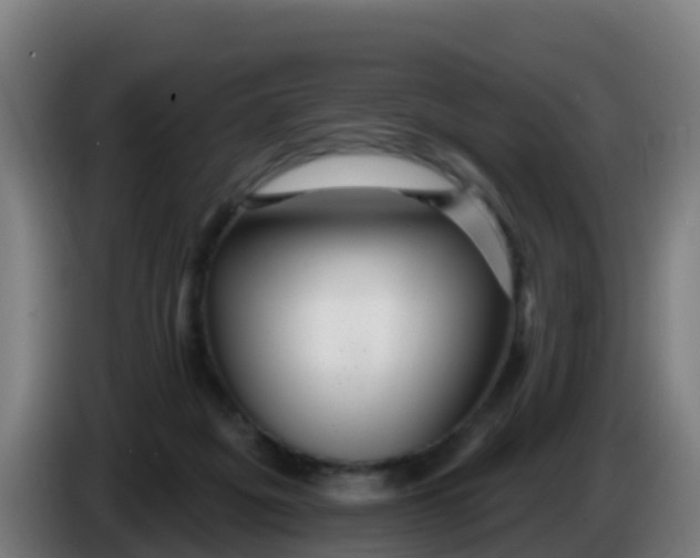 X0000086300217200704201949