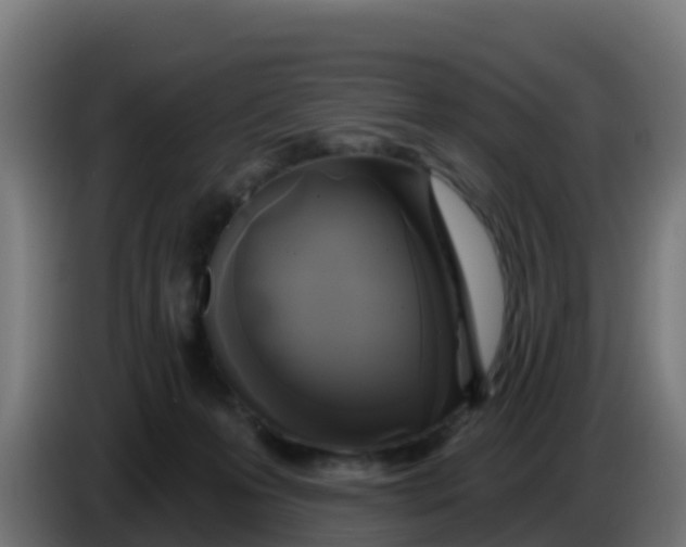 X0000086300223200704201949