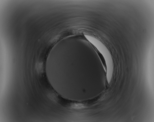 X0000086300224200704201949