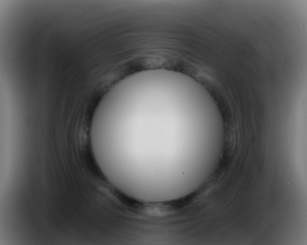 X0000086300226200704201948