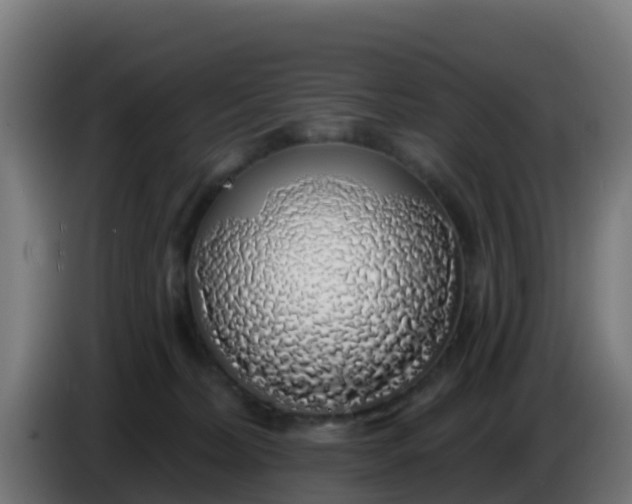 X0000086300228200704201948