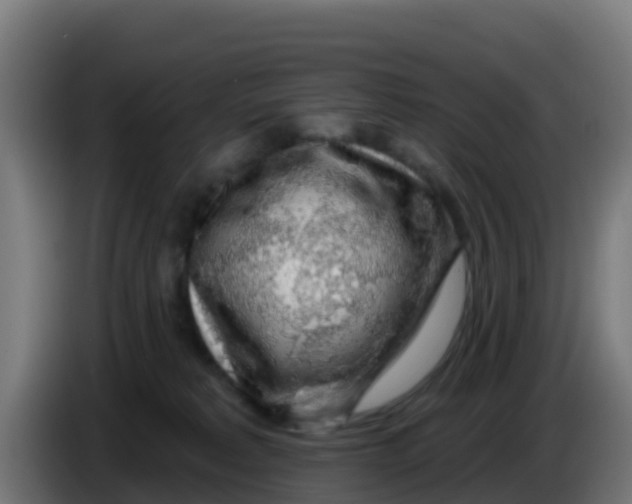 X0000086300229200704201948