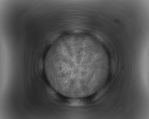 X0000086300230200704201948