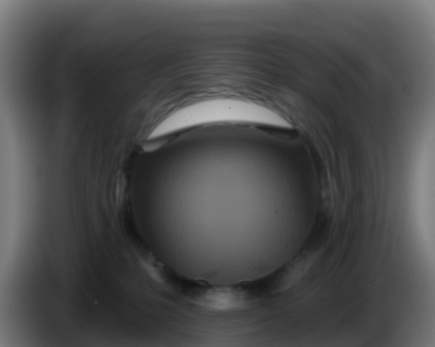 X0000086300231200704201948