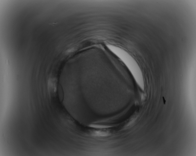 X0000086300232200704201948