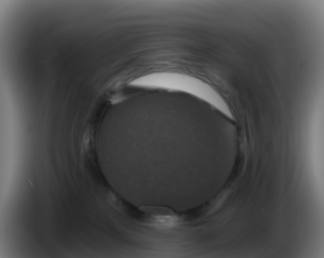 X0000086300233200704201948