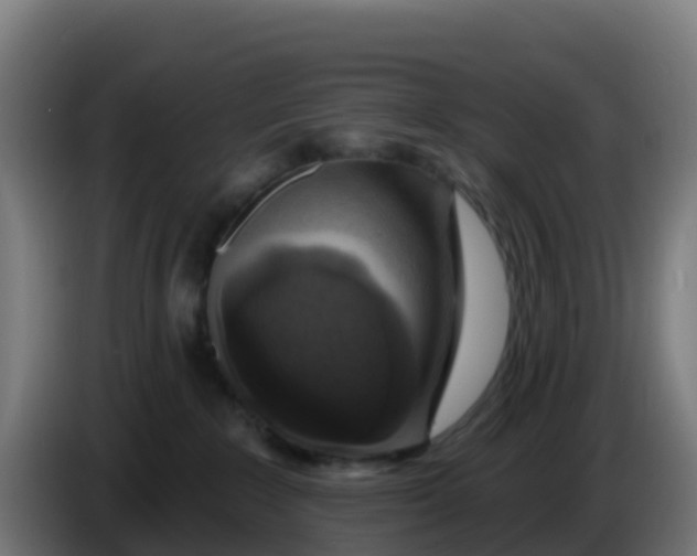 X0000086300235200704201948