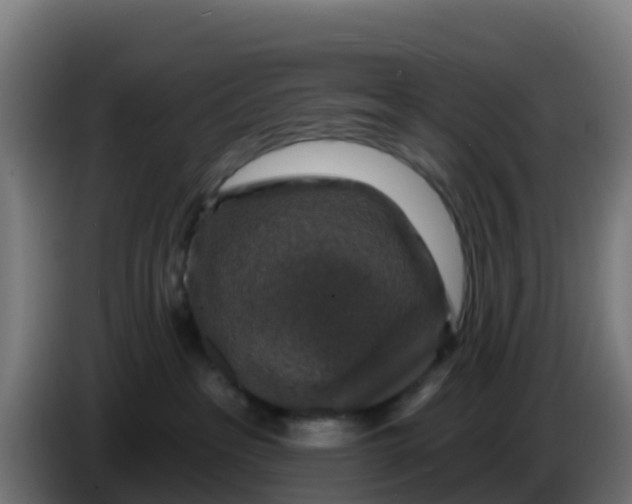 X0000086300237200704201948