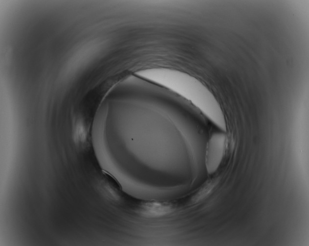 X0000086300239200704201948