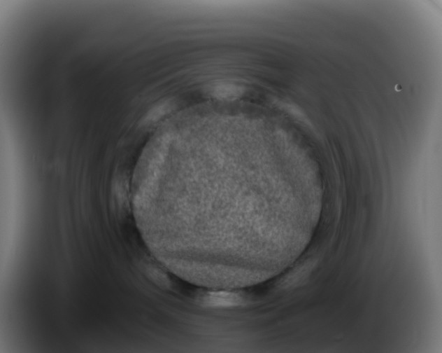 X0000086300240200704201948