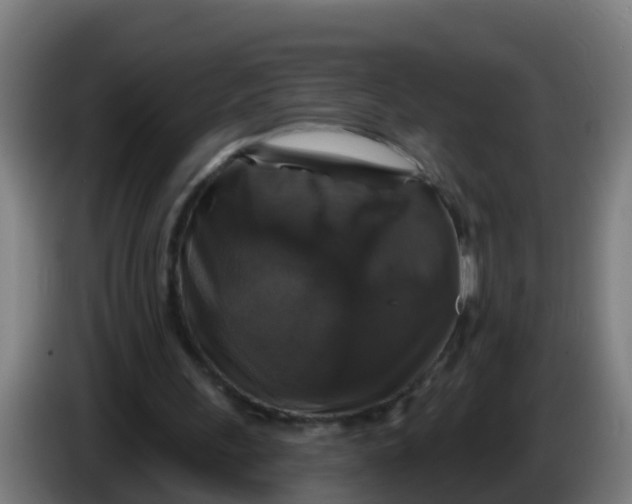 X0000086300243200704201948